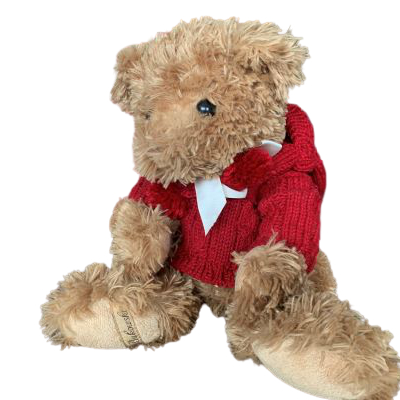 Peluche Ours BUKOWSKI TOMMY pull rouge