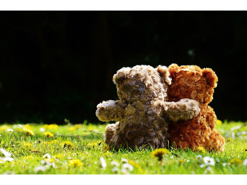 Sans titre (39) Couple de Peluche Ours BUKOWSKI WEDDING PAIR